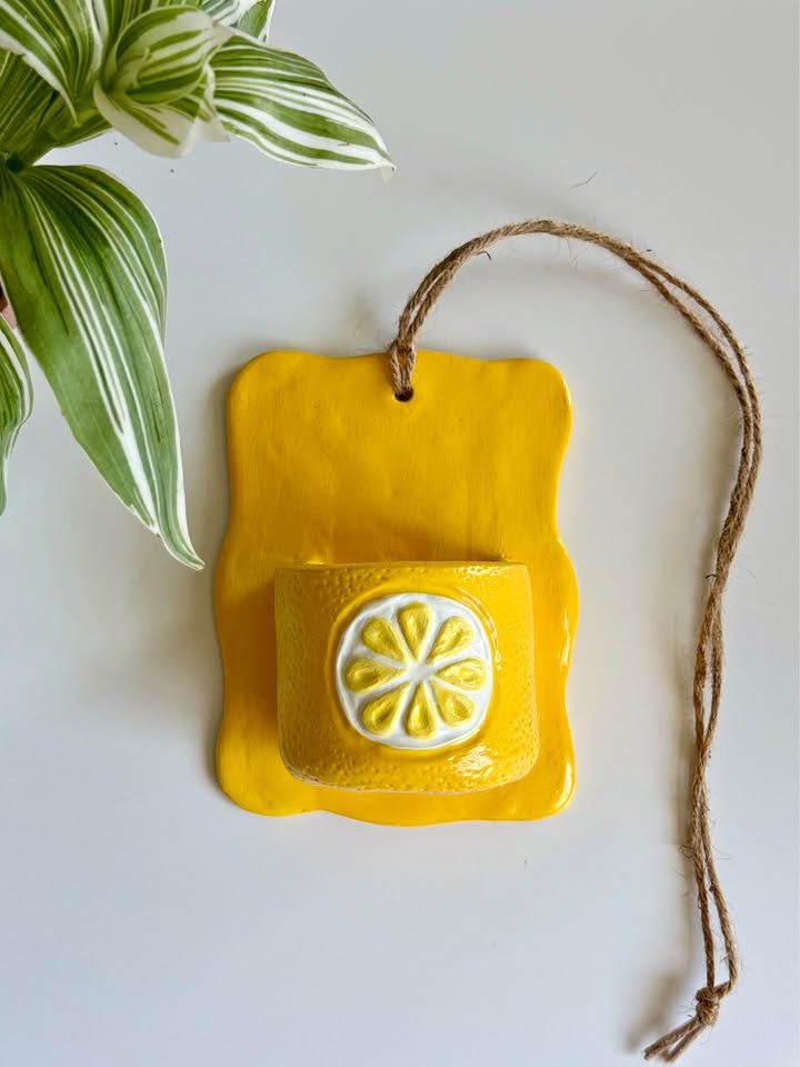Citrus shaped Wall Planter + free plant