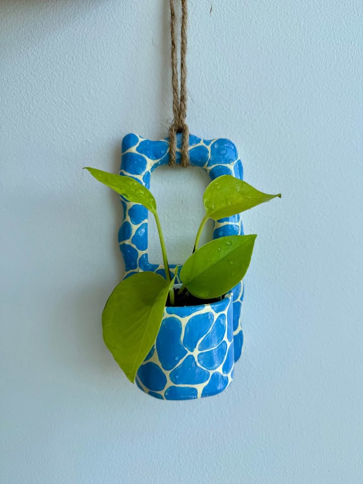 Wall Planter + free Pothos neon