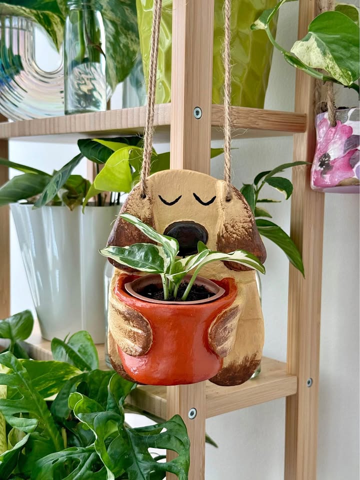 Cute Dog wall Planter+ free plant
