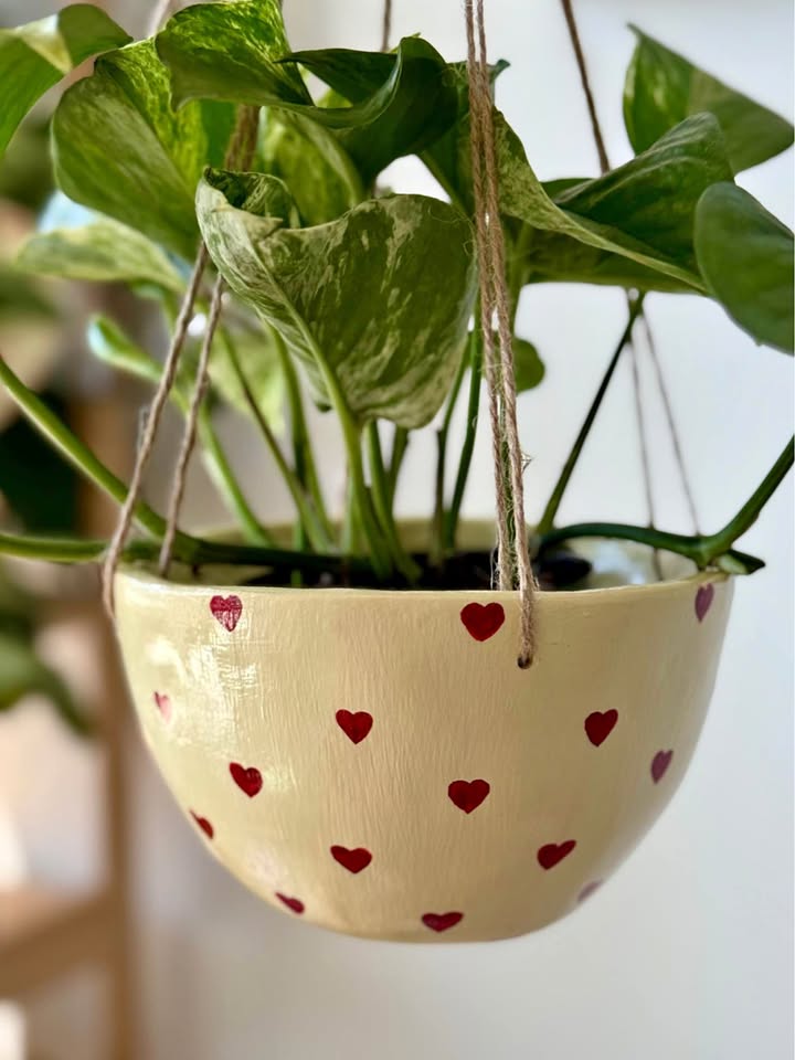 Hanging Ceramic Planter + Marble Queen Pothos